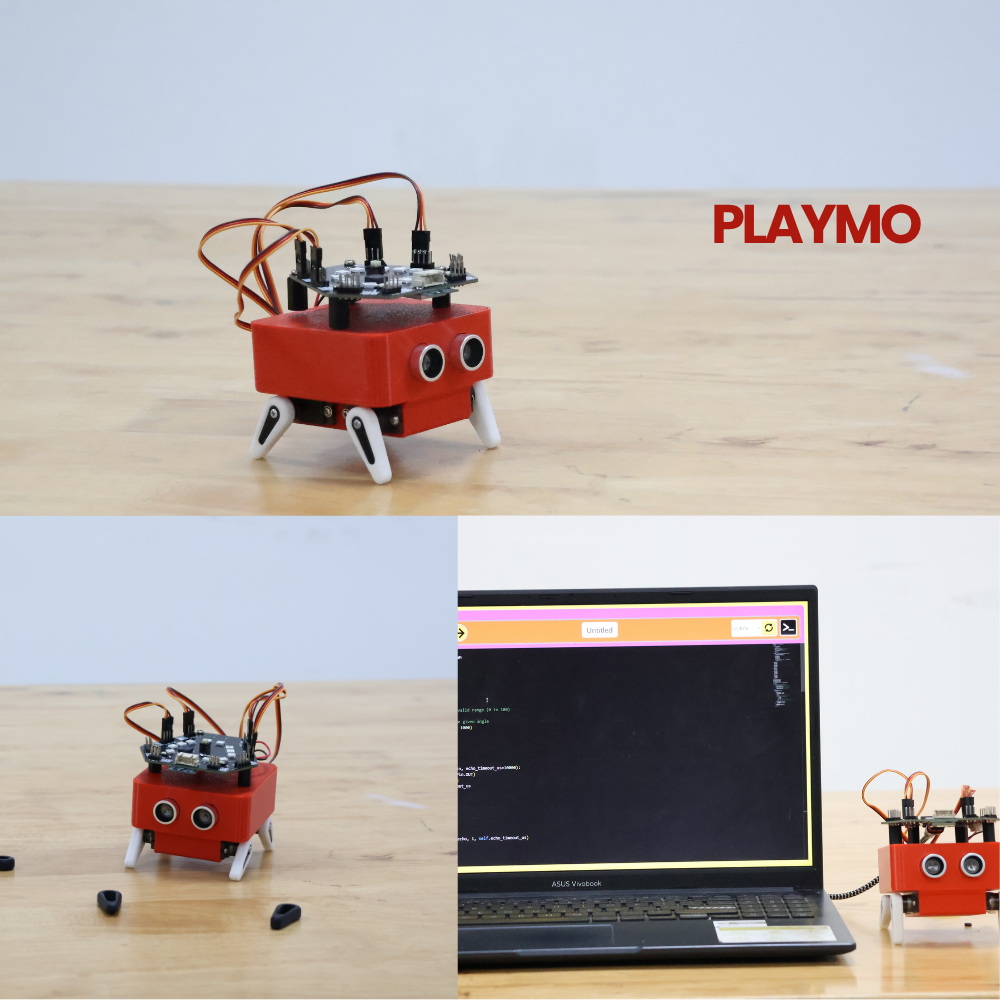 Playmo